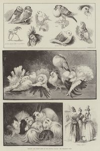 クリスタルパレスでの家禽と鳩ショー 作： Louis Wain